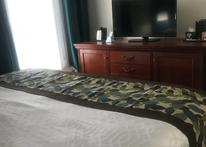 Hotel Comfort & - St Louis Area 3*