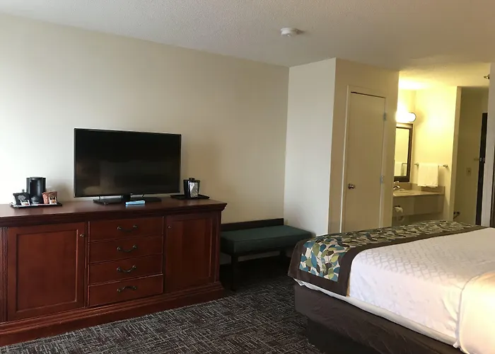 Comfort & - St Louis Area